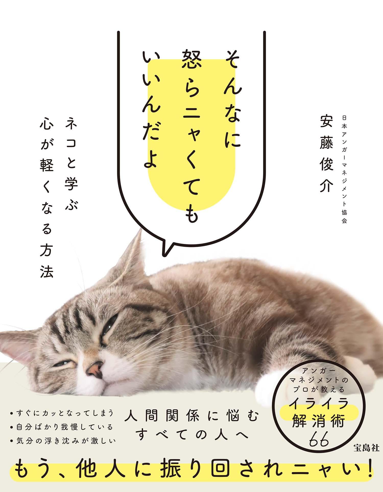 ゴン太　　猫A 最終値下げしました！ そんなに怒らニャくてもいいんだよ ネコと学ぶ心が軽くなる方法 | 安藤